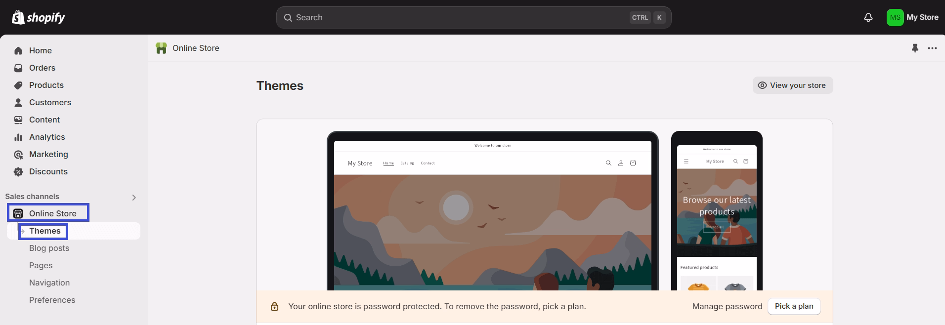 Go to your Shopify Admin and click Online Store > Themes.